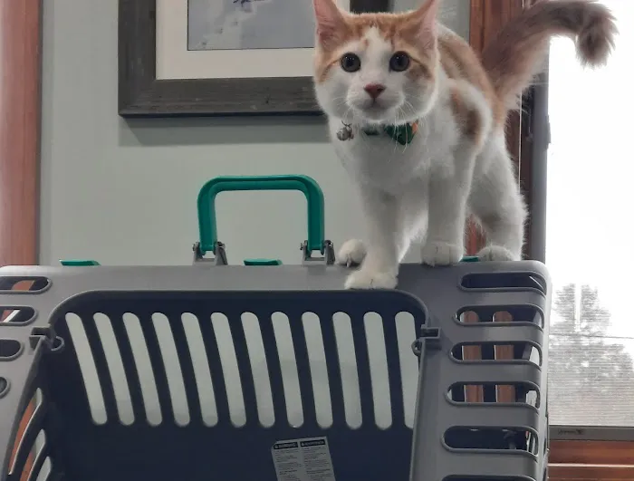 VCA Bath Animal Hospital Picture 1