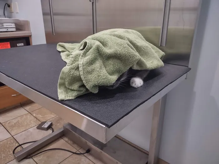 VCA Bath Animal Hospital Picture 4