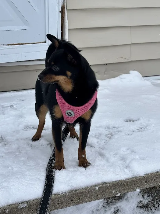 Maine Animal Health Alliance Picture 4