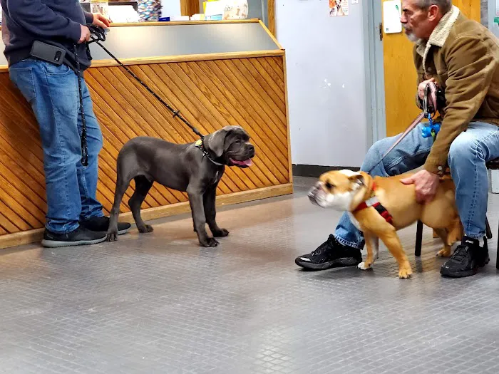 North Shore Animal Hospital Picture 3