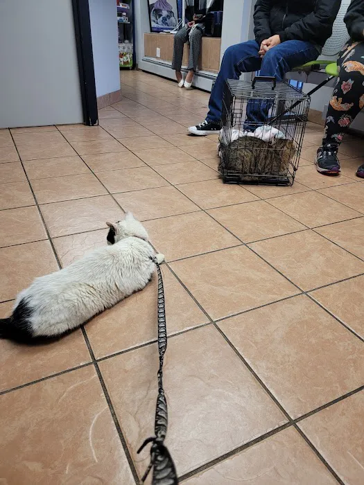 Lynn Pet Clinic Picture 8