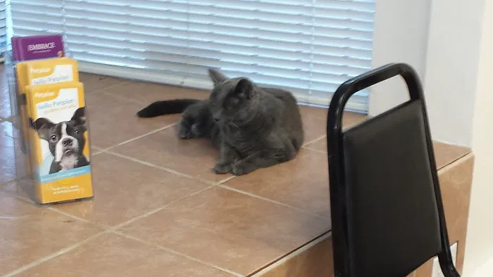 Lynn Pet Clinic Picture 3