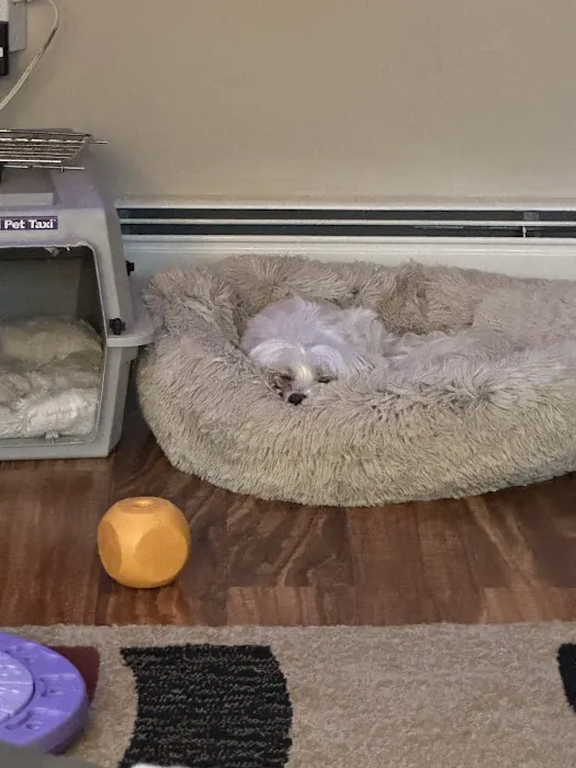 Beverly Animal Natural Health Picture 6