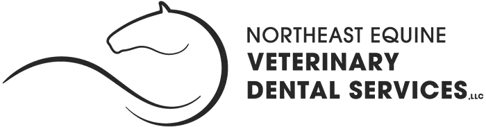 Northeast Equine Veterinary Dental Services, LLC Picture 7