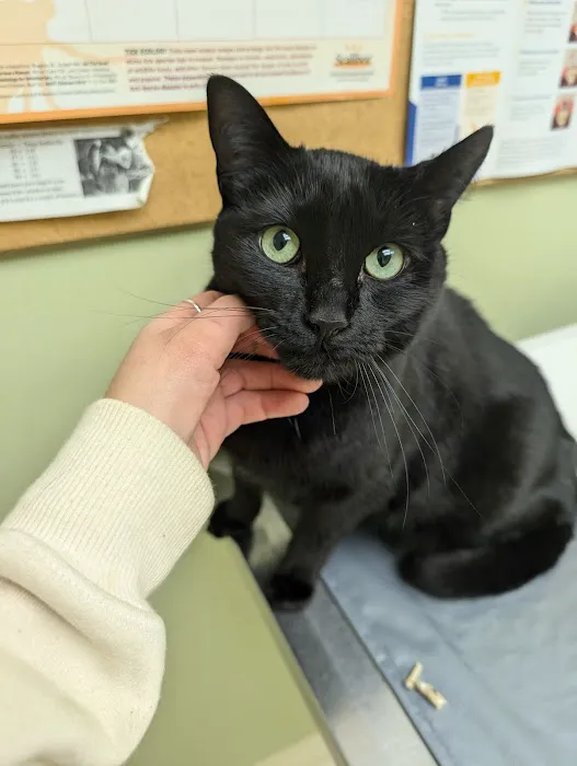 Hawthorne Animal Health Care Picture 8