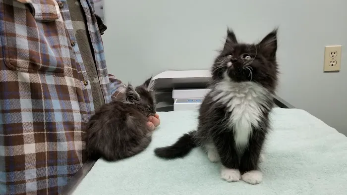 Friendly Animal Clinic: Tina Becker DVM Picture 4