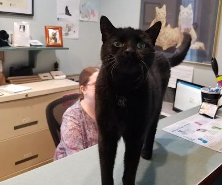Friendly Animal Clinic: Tina Becker DVM