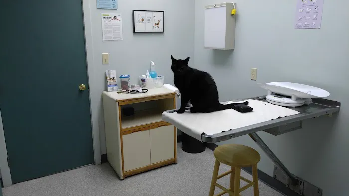Friendly Animal Clinic: Tina Becker DVM Picture 6