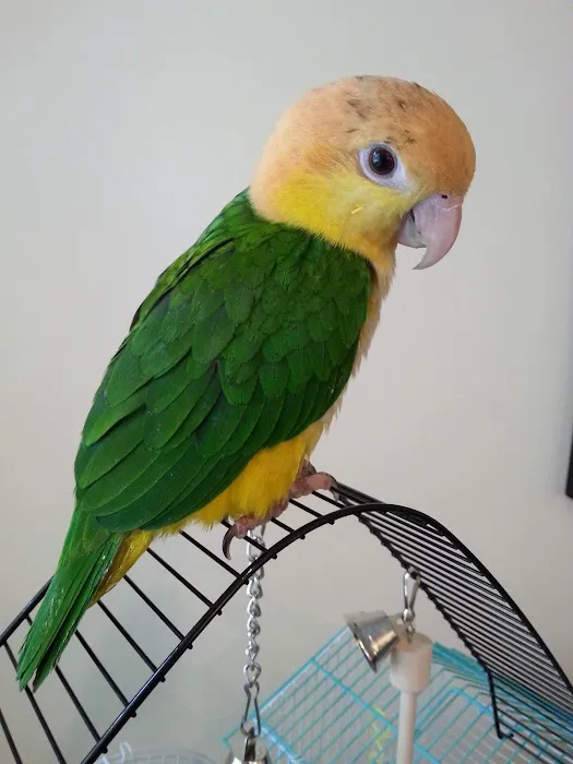 Friendly Animal Clinic Picture 3