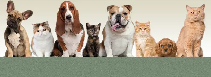 Friendly Animal Clinic Picture 1