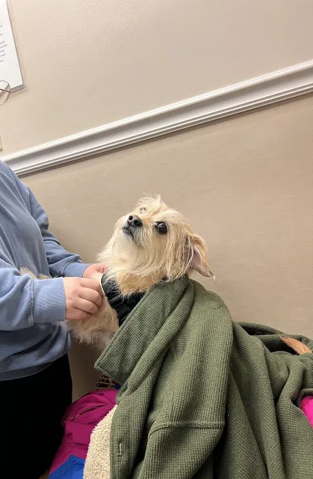 Friendly Animal Clinic Picture 7
