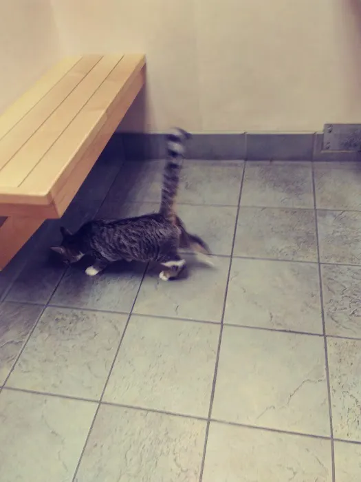 Friendly Animal Clinic Picture 5