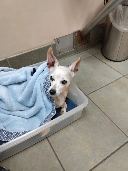 Friendly Animal Clinic Picture 9