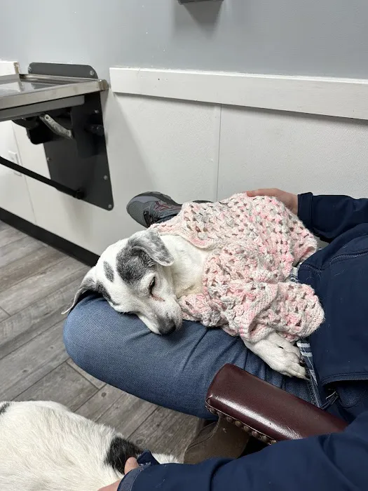 Guilford College Animal Hospital Picture 6