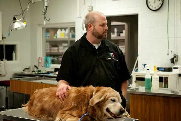 Guilford College Animal Hospital Picture 1