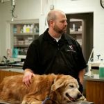 Guilford College Animal Hospital