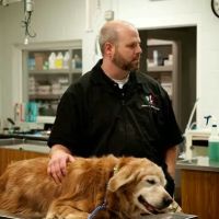 Guilford College Animal Hospital ico