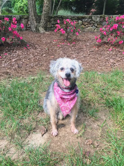 Guilford College Animal Hospital Picture 3