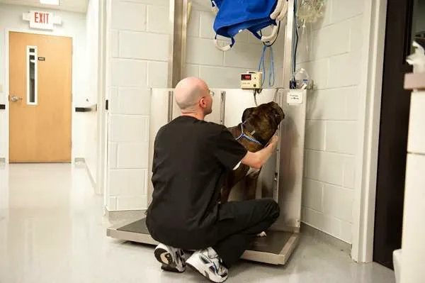 Guilford College Animal Hospital Picture 2