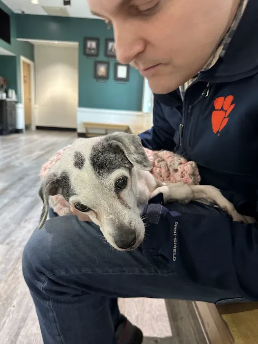 Guilford College Animal Hospital Picture 4