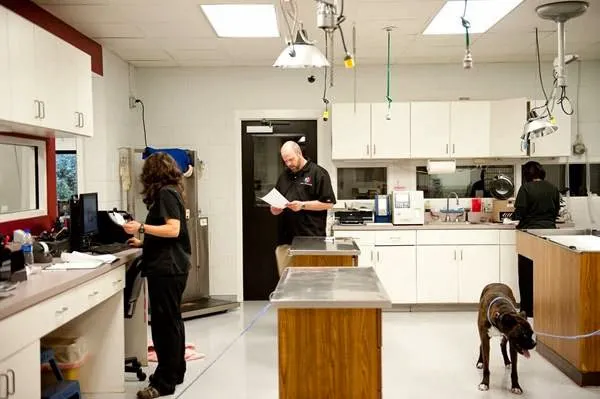 Guilford College Animal Hospital Picture 9