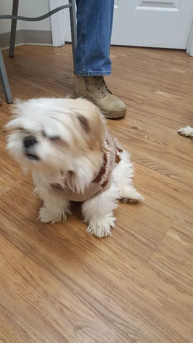 Grandview Animal Hospital Picture 7