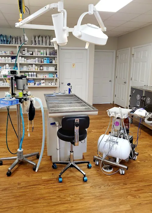 Grandview Animal Hospital Picture 10