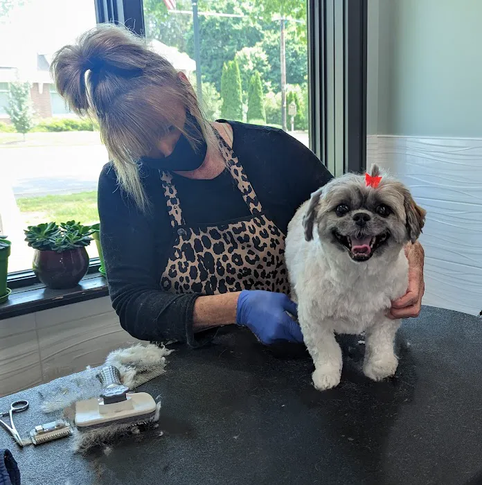 Shallowford Animal Hospital Picture 7
