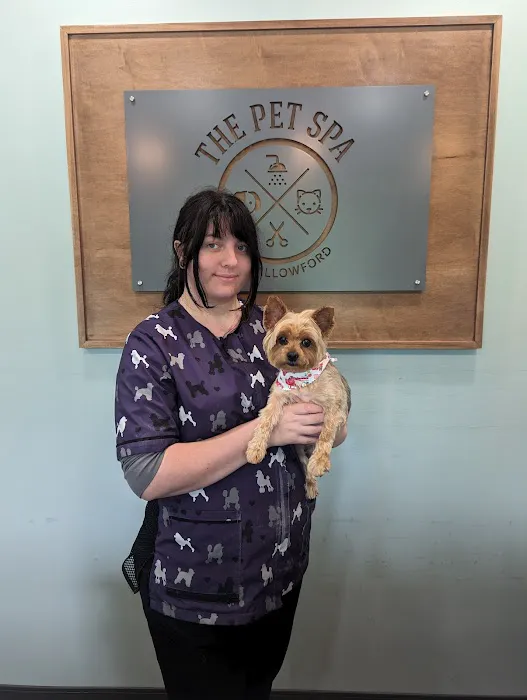 Shallowford Animal Hospital Picture 10