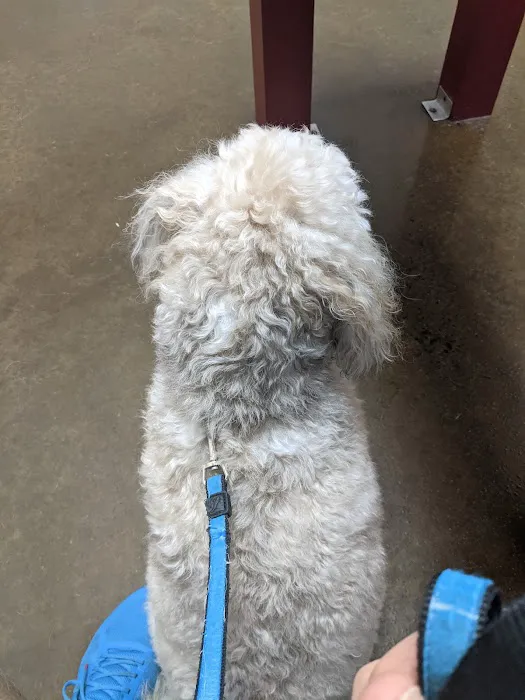 Harmony Heights Animal Hospital Picture 4