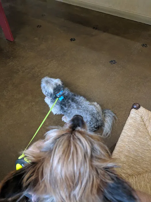 Harmony Heights Animal Hospital Picture 9