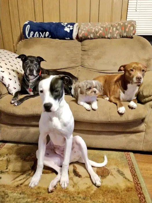 Harmony Heights Animal Hospital Picture 7
