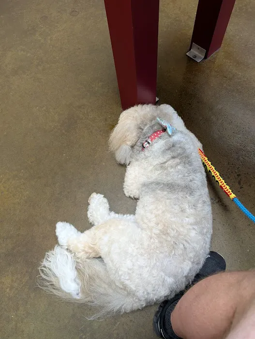 Harmony Heights Animal Hospital Picture 10
