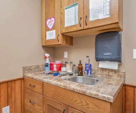 State Road Animal Hospital