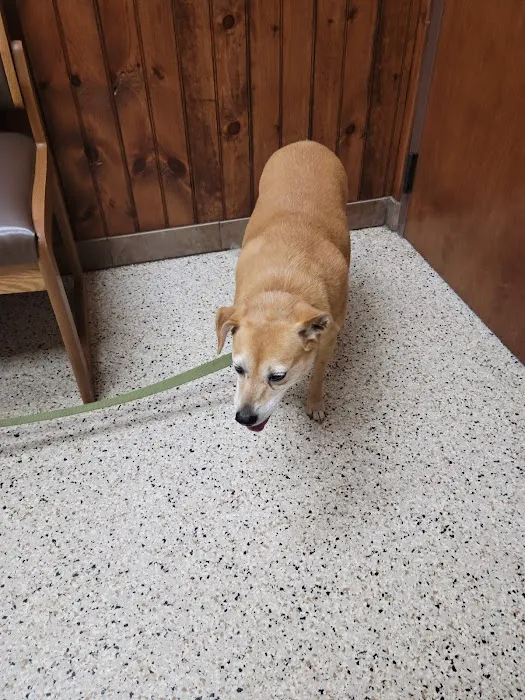 State Road Animal Hospital Picture 3