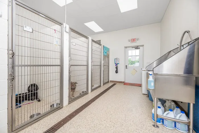 State Road Animal Hospital Picture 8