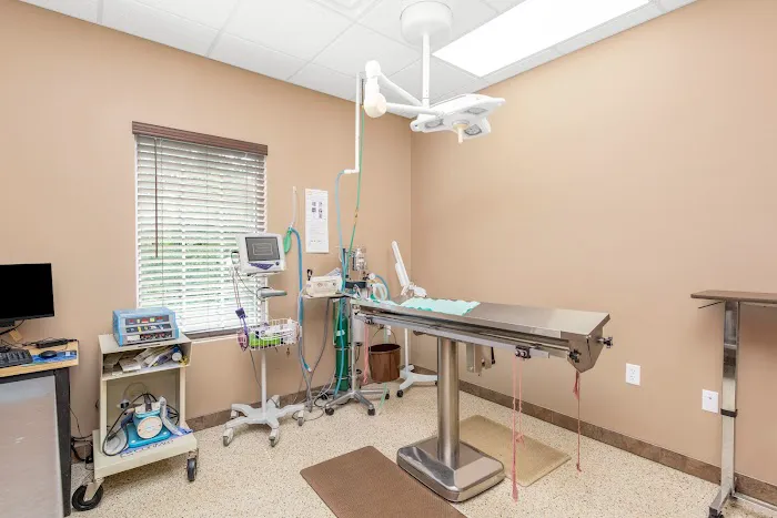 State Road Animal Hospital Picture 9
