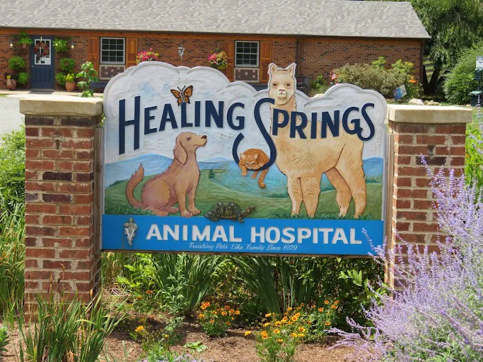 Healing Springs Animal Hospital Picture 4