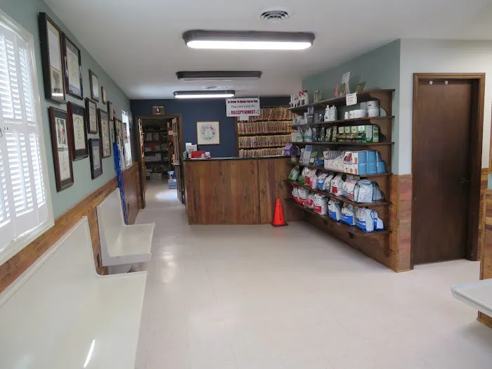 Healing Springs Animal Hospital Picture 2