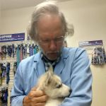 Emerald Moon Veterinary Clinic