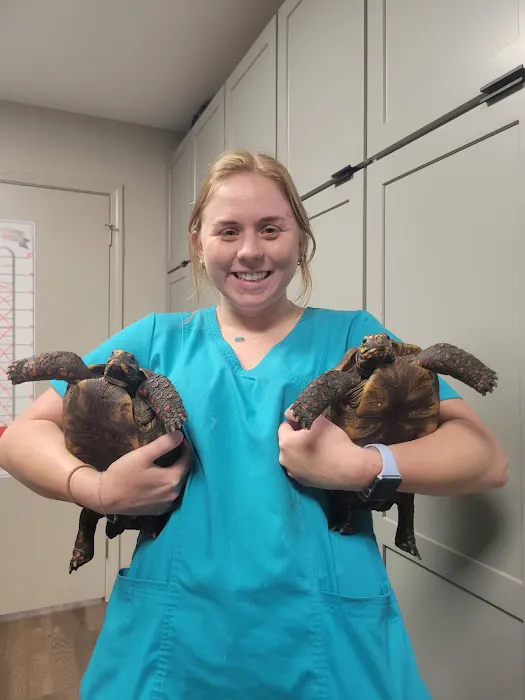 Wythe Animal Wellness Community Veterinary Care, Inc. Picture 10