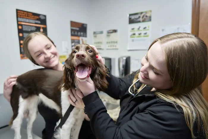 Tipton Ridge Veterinary Center Picture 3
