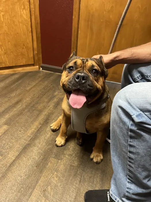 Tipton Ridge Veterinary Center Picture 7
