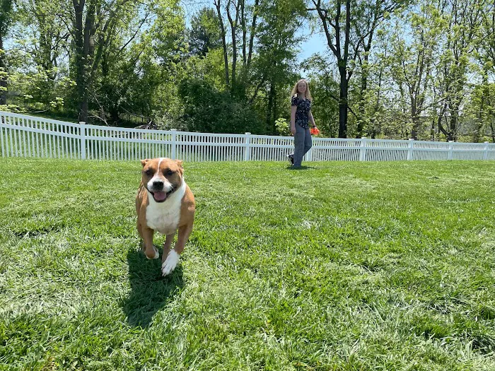 Tipton Ridge Veterinary Center Picture 8