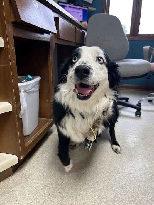 Tipton Ridge Veterinary Center Picture 5