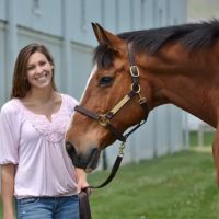 Davie County Large Animal ico