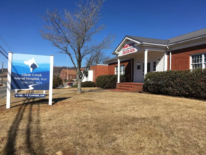 Glade Creek Animal Hospital, PLLC Picture 4