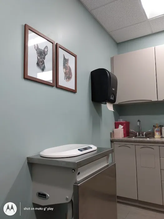 Glade Creek Animal Hospital, PLLC Picture 3