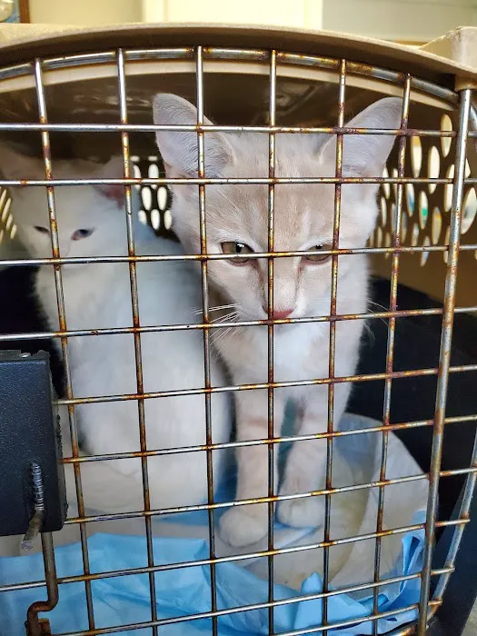 Twin Oaks Veterinary Hospital Picture 6