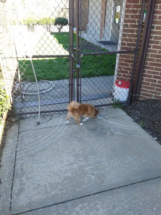 Carolina Veterinary Specialists Winston-Salem Picture 9